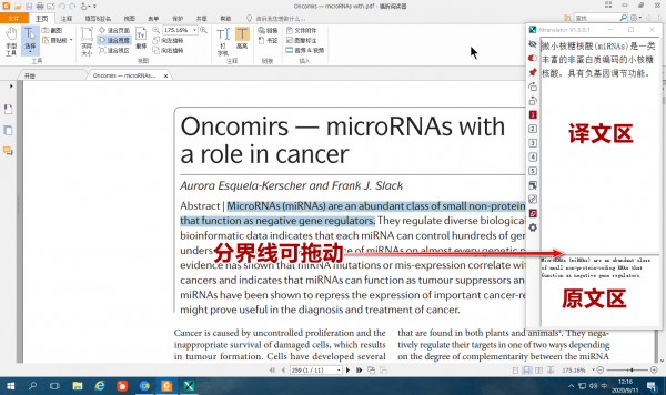 XTranslator(文献翻译工具)