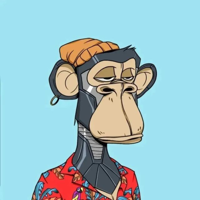 库里18万头像合集