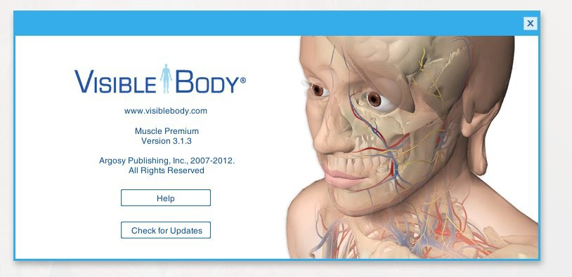 muscle premium电脑版