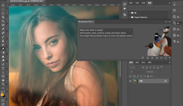 Brusherator笔刷预设动作管理面板