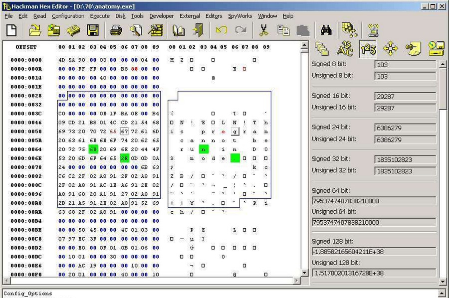 Hackman Hex Editor v8.06