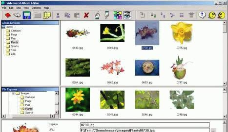 Advanced Album Editor v4.12