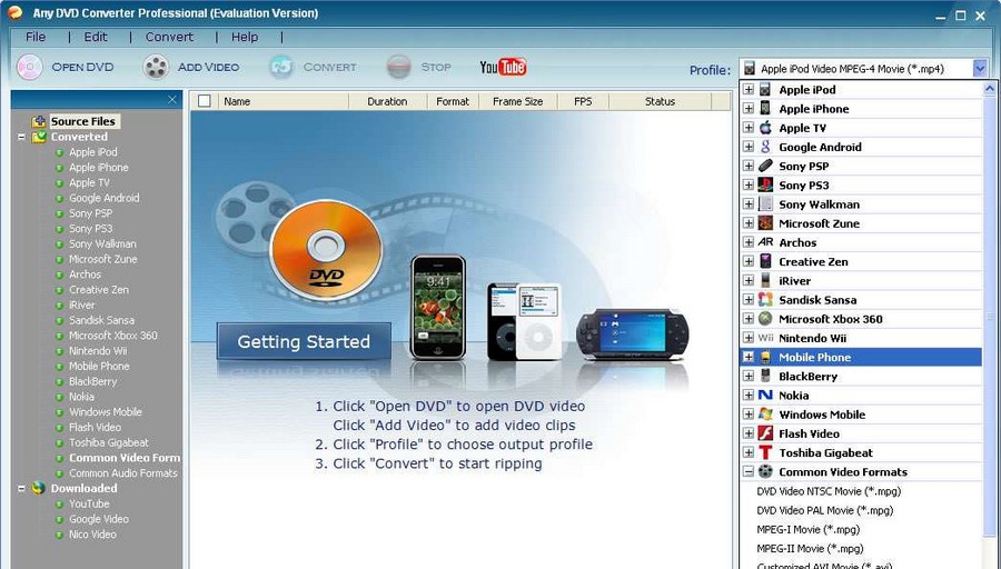 Any DVD Converter Professional v6.3.13