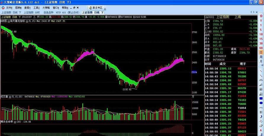 大策略软件 v5.8