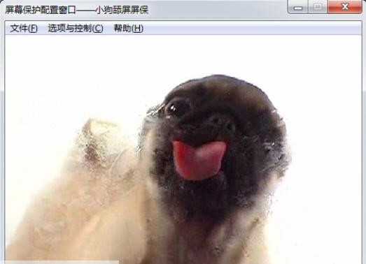 狗狗舔屏幕动态屏保 v1.46