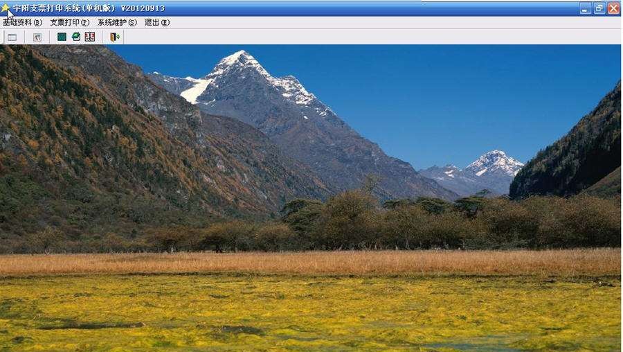 宇阳支票打印软件 v201206111