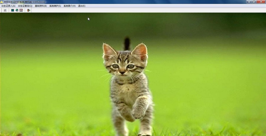 宇阳出生证打印软件 v20121215