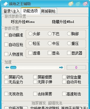 傻挂战地之王辅助 v5.13