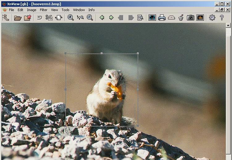 XnView(图像查看器) v2.49.9
