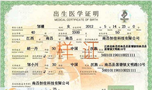 恒佳出生证明管理系统 2014 v3.13