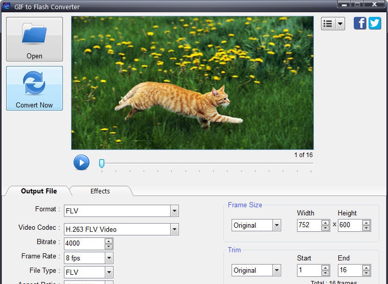 GIF to Flash Converter v4.2.0.4