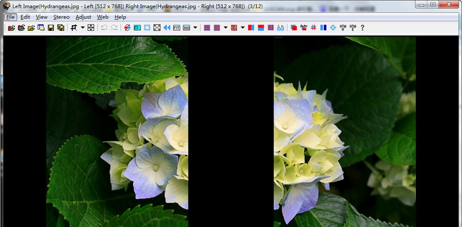 Stereo Photo Maker(立体图形编辑器) v5.15