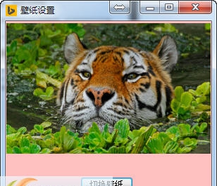bing壁纸每日壁纸切换 v1.5
