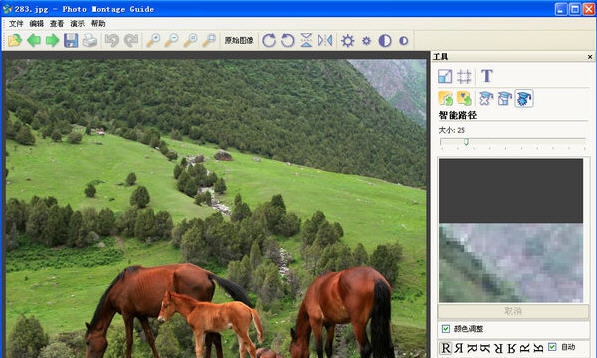 Photo Montage Guide v2.2.14