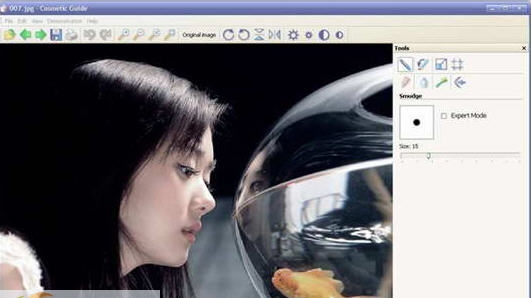 Cosmetic Guide v2.2.11