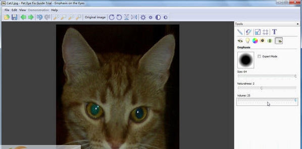 Pet Eye Fix Guide v2.2.13