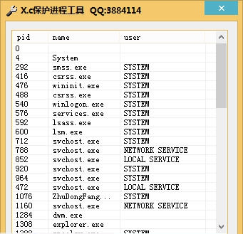 X.c保护进程工具 v1.10