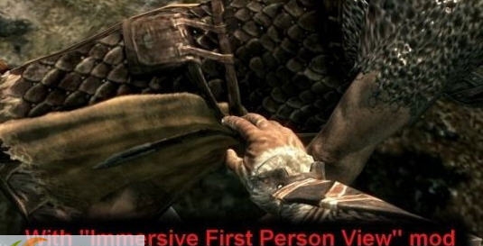 上古卷轴5丰富人物动作mod v1.7