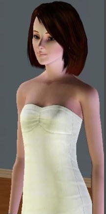 模拟人生3美丽佳人mod v2.5