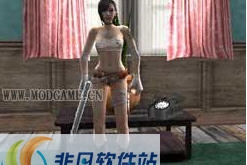 圣安地列斯仿CSOL伊琳娜mod v3.7