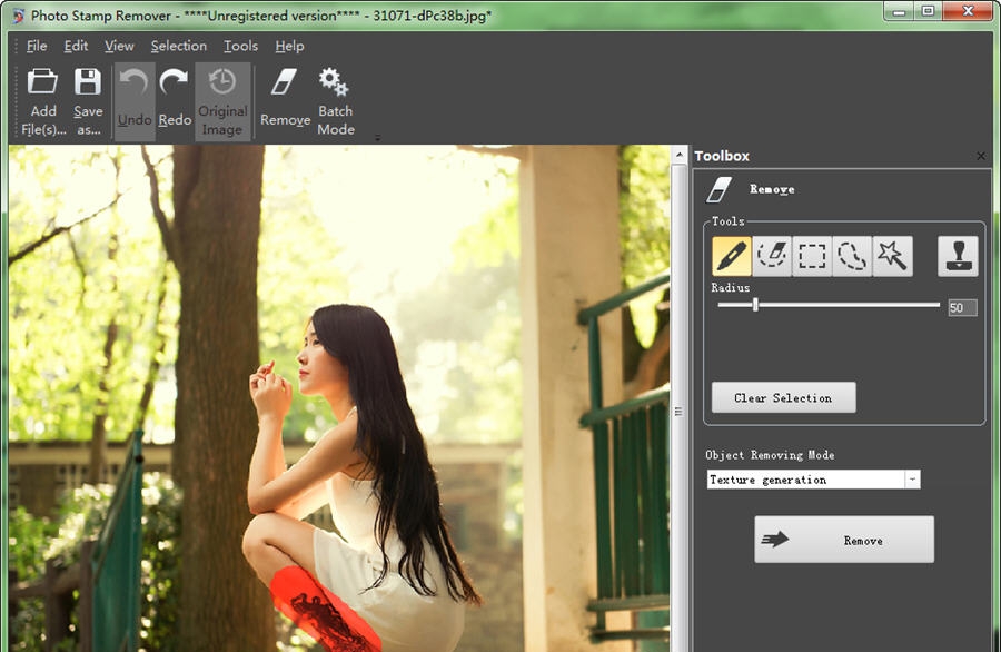 Photo Stamp Remover v7.10