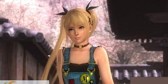 死或生5玛丽的汗水MOD v1.6