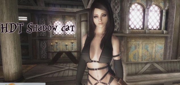 上古卷轴5暗影猫护甲MOD v1.5