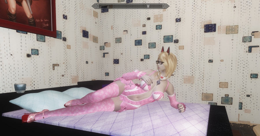 上古卷轴5摔跤玫瑰SM御姐服装mod v1.4
