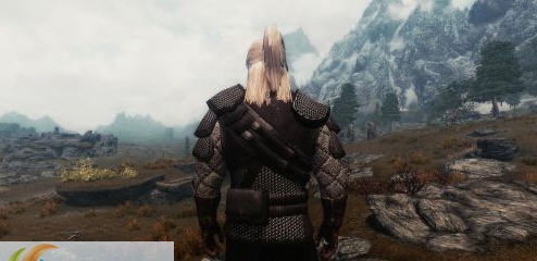 上古卷轴5巫师三风格护甲MOD v1.5