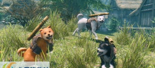 上古卷轴5重装机兵波奇战斗犬MOD v1.6
