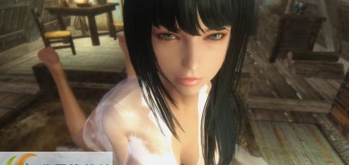 上古卷轴5美女存档 v5.8