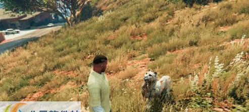 GTA5美洲狮MOD v2.7
