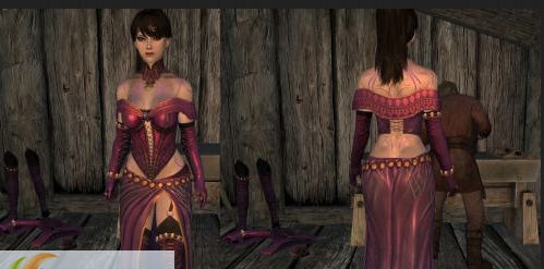 上古卷轴5紫色魅影法袍MOD v2.6