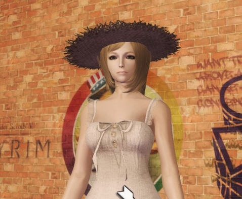 上古卷轴5草帽女孩mod v1.4