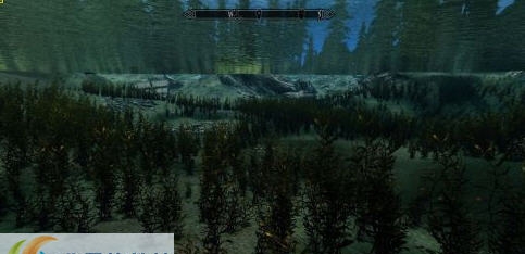 上古卷轴5低配水草移除MOD v2.5