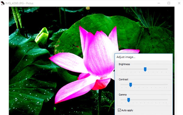 Pictus(看图软件) v1.3.6