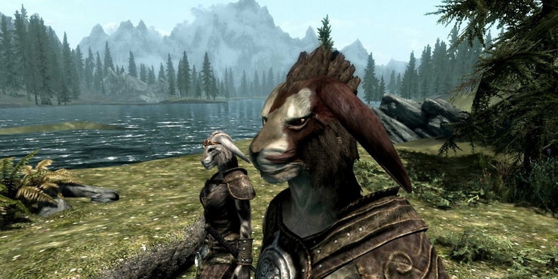 上古卷轴5兔子种族MOD v2.6