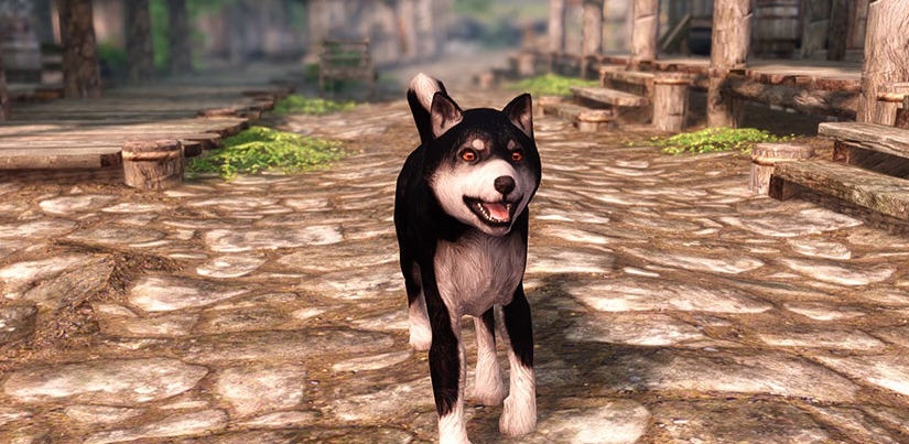 上古卷轴5随从黑色柴犬MOD v2.4