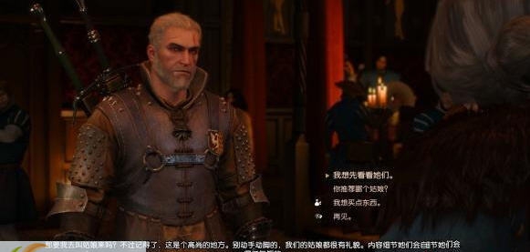 巫师3绅士剧情存档合集 v3.7