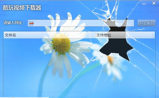 酷玩视频下载器 v1.9