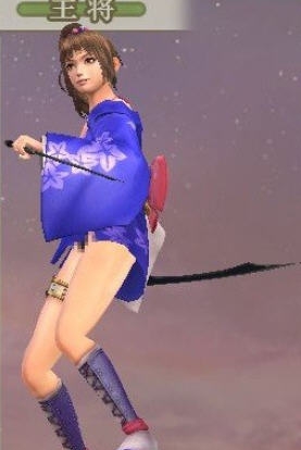 战国无双4-2女忍短和服MOD v2.6