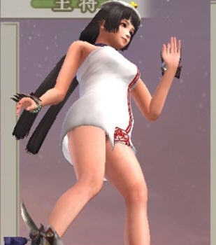 战国无双4-2浴巾虎妈MOD v2.5