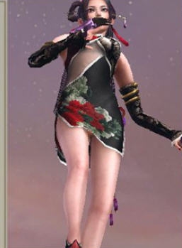 战国无双4-2虎妈旗袍MOD v2.4