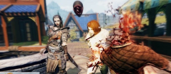 上古卷轴5天际击杀自动拍照 v2.4