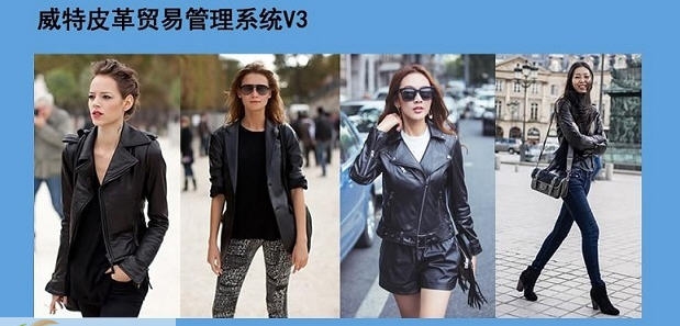 威特皮革贸易系统 v3.8