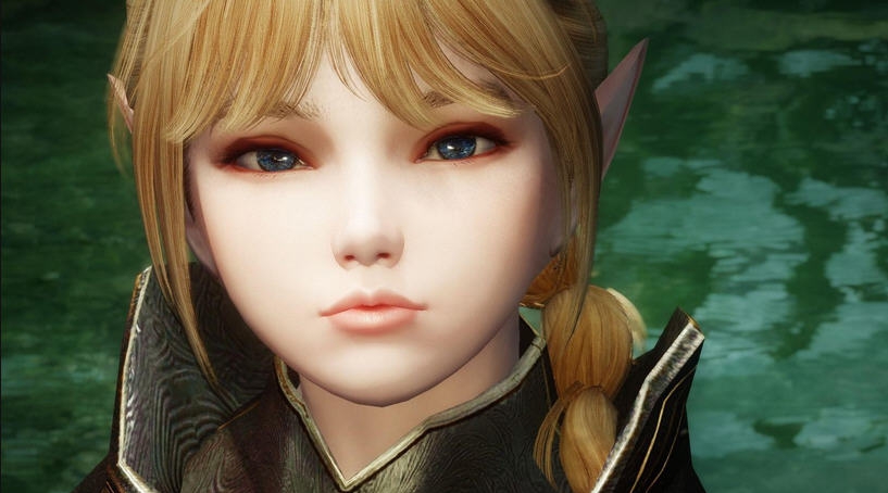 上古卷轴5天际金发精灵随从MOD v2.4