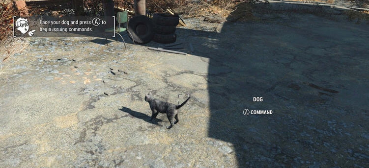 辐射4狗肉替换为猫咪MOD v2.3