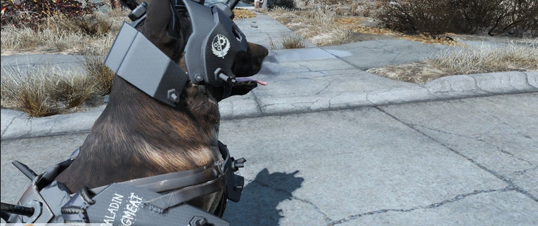 辐射4钢铁兄弟狗MOD v2.3