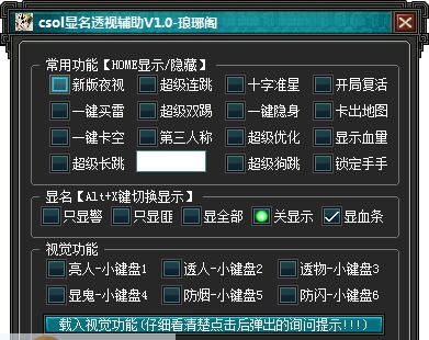 琅琊阁csol显名透视辅助 v1.8
