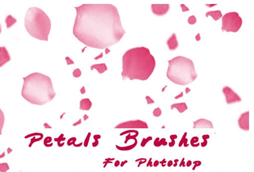 花瓣笔刷 PS绗斿埛绱爒1.4